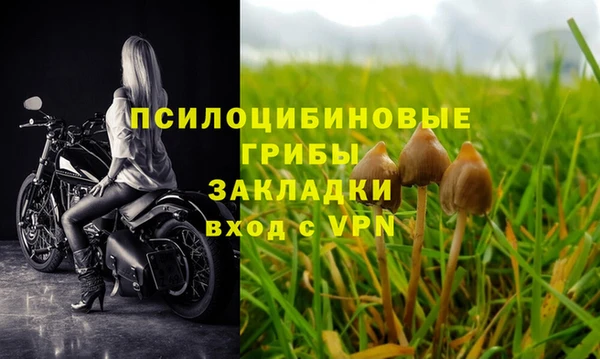 ALPHA PVP Сатка
