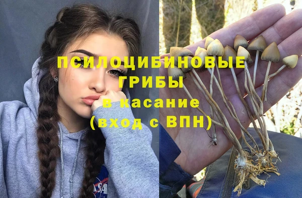 ALPHA PVP Сатка