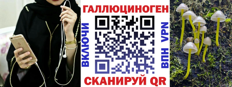Галлюциногенные грибы Magic Shrooms  Купить где  Хвалынск 